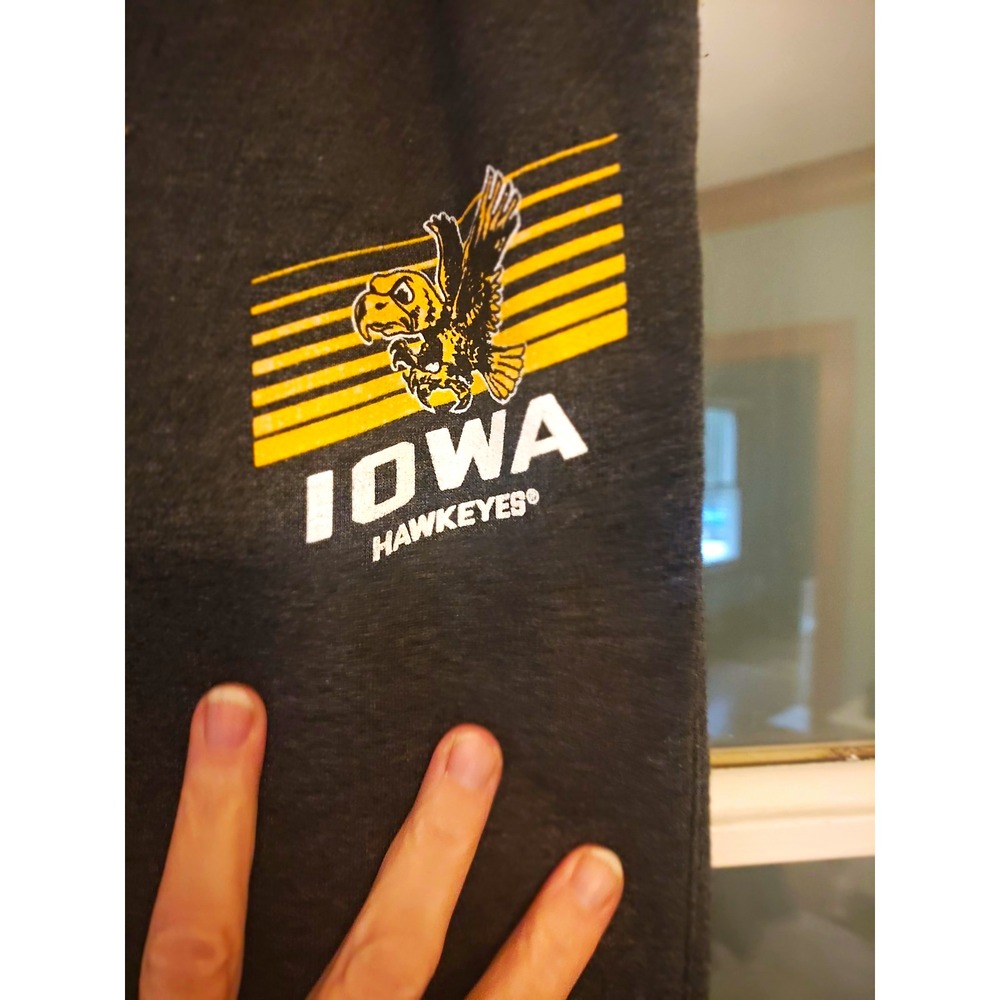 Champion Iowa Hawkeyes Sweatpants Men L Gray Herky Logo Joggers Pockets NCAA